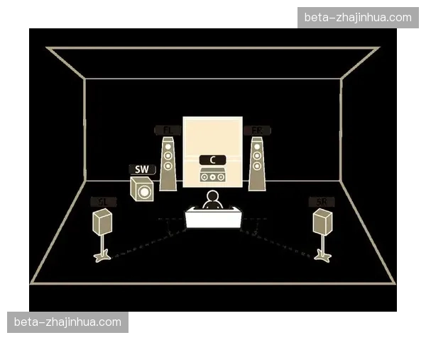 空间音频技术在现阶段的引入 为观众还原了真实的赛场环境音